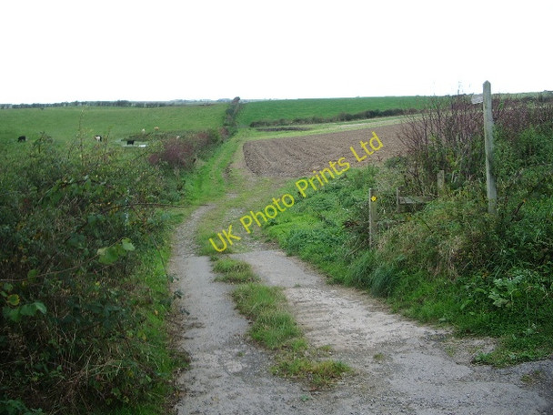 Photo 6"x4" Footpath to little Clifton Browtop c2007