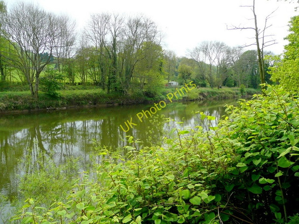 Photo 6"x4" River Wye in spring Monmouth\/Trefynwy c2009
