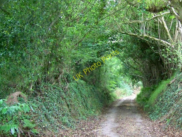 Photo 6"x4" Byway near Bridford Bridford c2009