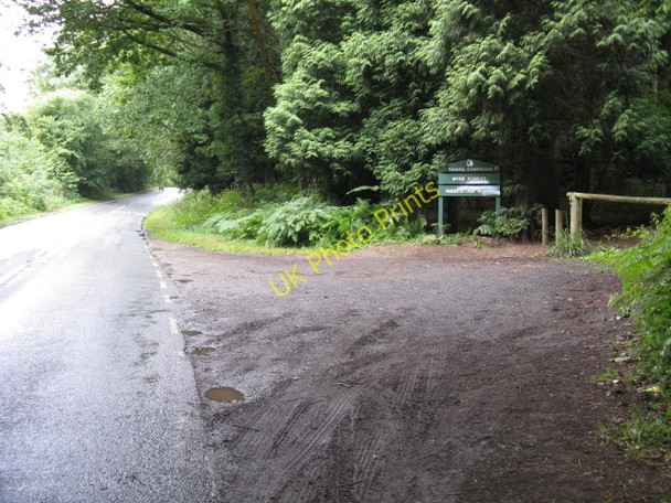 Photo 6"x4" Entrance To Ribbesford Woods Burlish Park c2009