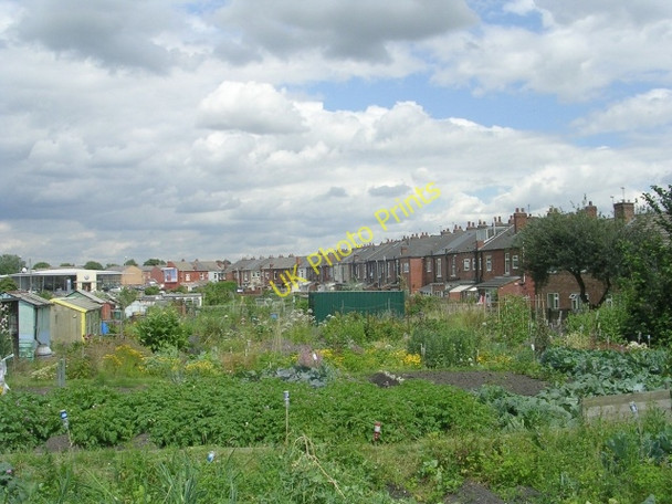 Photo 6"x4" Allotments - Cross Lane Wakefield\/SE3320 c2009