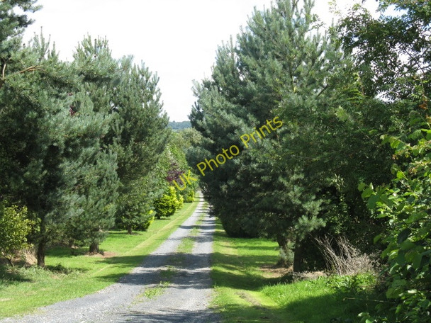 Photo 6"x4" Entrance To Rosebank Farm Bircher c2009