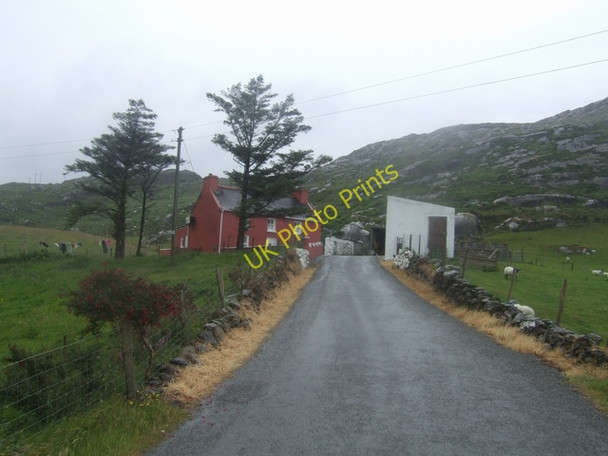 Photo 6"x4" Farm on the Cod's Head Allihies c2009