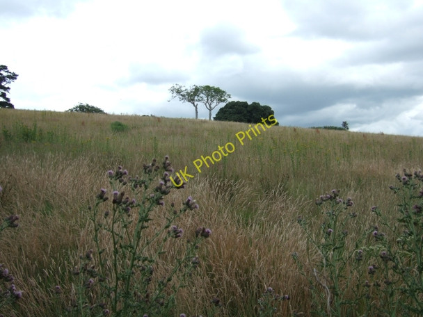 Photo 6"x4" Field adjacent to the University of Exeter campus Exeter c2009