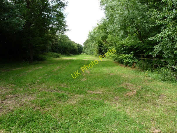 Photo 6"x4" Track of the Rugby to Peterborough Railway Husbands Bosworth c2009