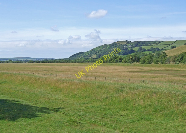 Photo 6"x4" Near the Barrow road Greenodd c2009