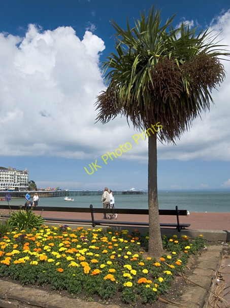 Photo 6"x4" Promenade, Llandudno Llandudno c2009
