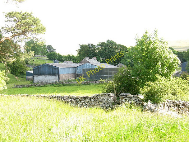 Photo 6"x4" Beckstones Farm Brownber\/NY7005 c2009