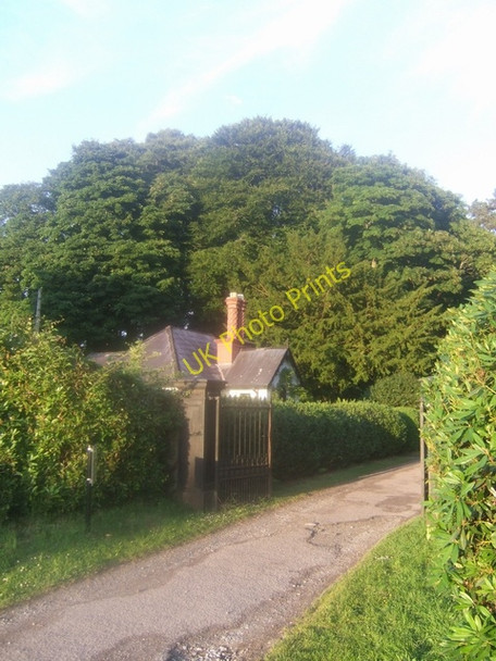 Photo 6"x4" Victoria Lodge Killarney c2009