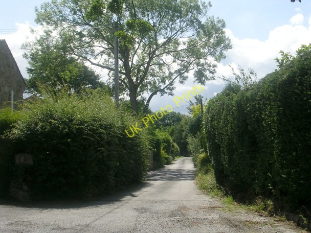 Photo 6"x4" Oakdale Drive - Arthington La Pool\/SE2445 c2009