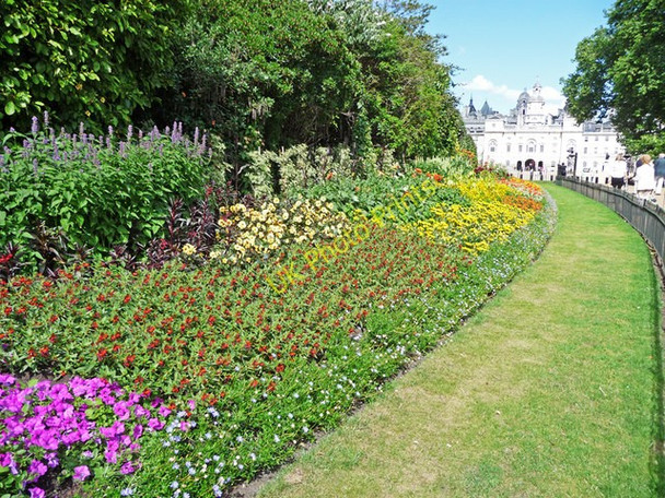 Photo 6"x4" Flowerbed, St James's Park, London SW1 Westminster c2009