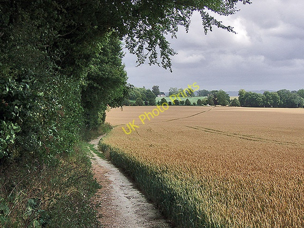 Photo 6"x4" North Downs Way near Eastwell Park Eastwell Park\/TR0147 c2009