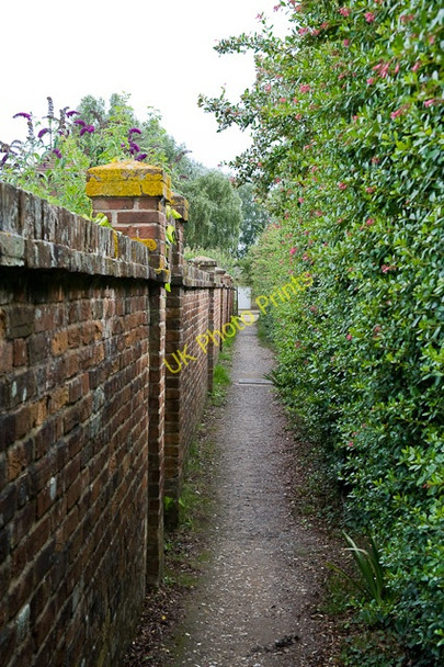 Photo 6"x4" Coastal Footpath approaches Spinney Lane Shipton Green c2009