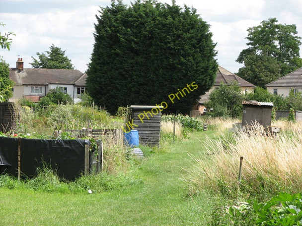 Photo 6"x4" Rock Allotment Society Cherry Hinton c2009