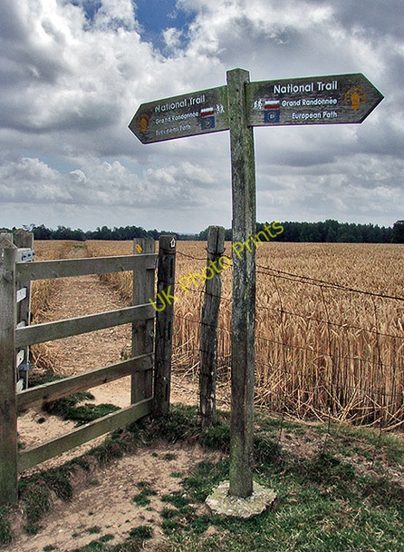 Photo 6"x4" E2 direction waymarker Eastwell Park\/TR0147 c2009