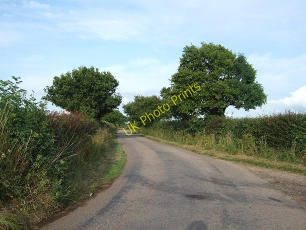Photo 6"x4" Parsons Lane, leading towards Rockbeare Jack-in-the-Green c2009