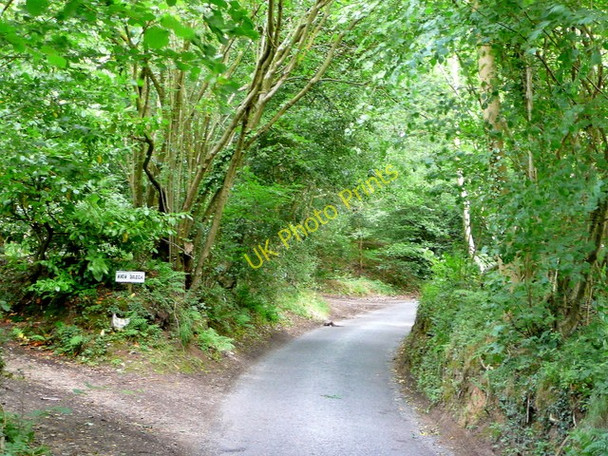 Photo 6"x4" Spats Lane Hearn c2009