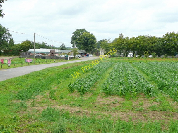 Photo 6"x4" Rural businesses north of Mill Lane, B3002 Bordon c2009