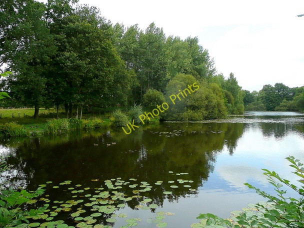 Photo 6"x4" Upper North Pond, Shillinglee Fisherstreet c2009