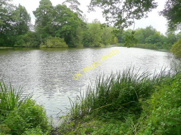 Photo 6"x4" Lower North Pond, Shillinglee Fisherstreet c2009