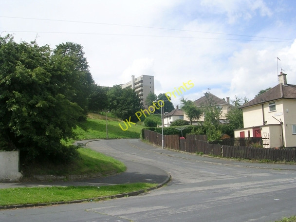Photo 6"x4" Bracken Edge - Hawthorn Drive Thorpe Edge c2009