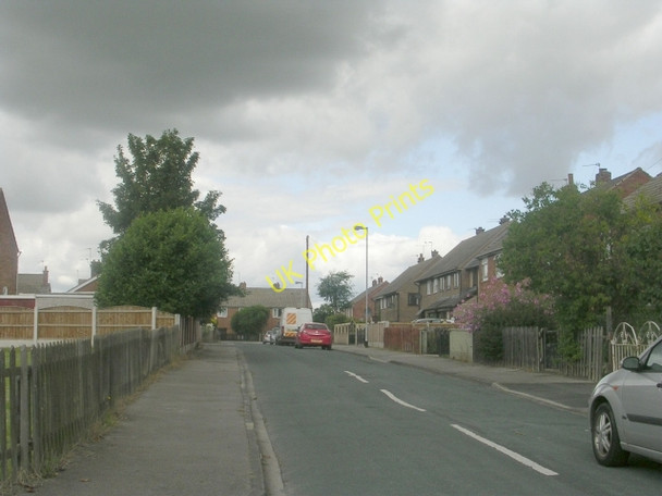 Photo 6"x4" Cedar Road - Queen Elizabeth Drive Normanton\/SE3822 c2009