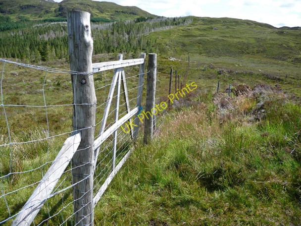 Photo 6"x4" Gate on the path to Ardintoul Galltair c2009