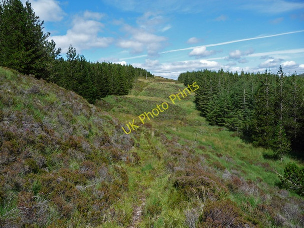 Photo 6"x4" Footpath to Ardintoul Galltair c2009