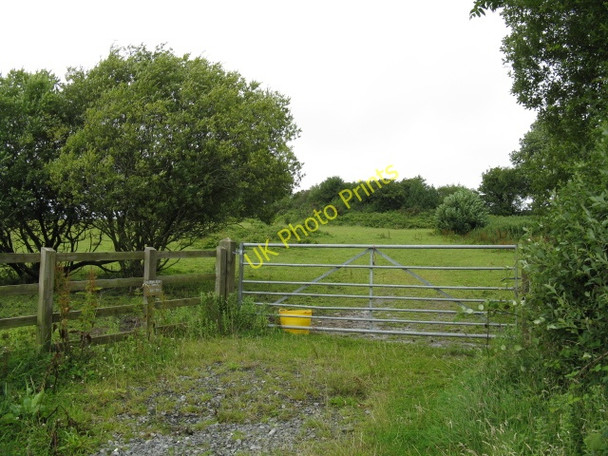 Photo 6"x4" Field Gate Near Cold Inn Cold Inn c2009