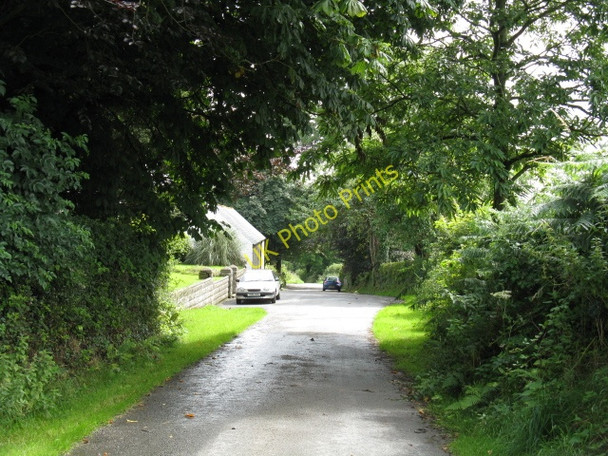 Photo 6"x4" Lane At Hackett Reynalton c2009
