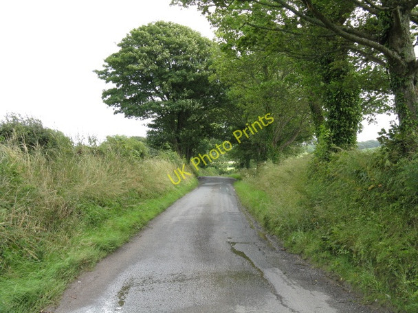 Photo 6"x4" Langdon Lane Begelly c2009
