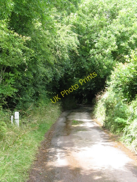 Photo 6"x4" Lane To West Grove Bentlass c2009