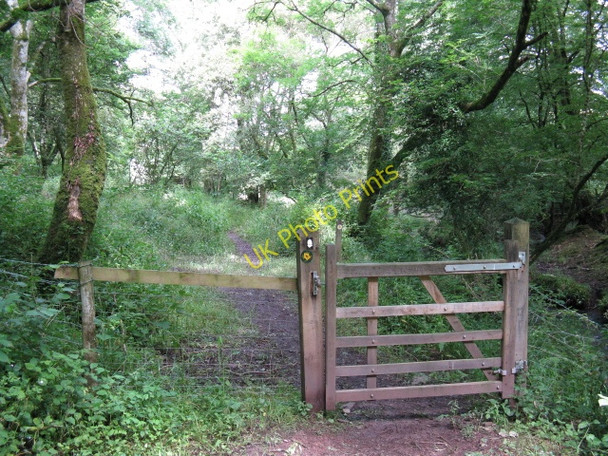 Photo 6"x4" Gate On The Pembrokeshire Coast Path Pennar Park c2009