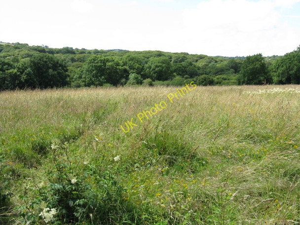 Photo 6"x4" Footpath Somewhere In The Fields, Hook Deerland c2009