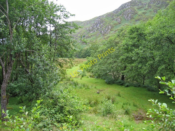 Photo 6"x4" Glen Shiel Shiel Bridge\/NG9318 c2009