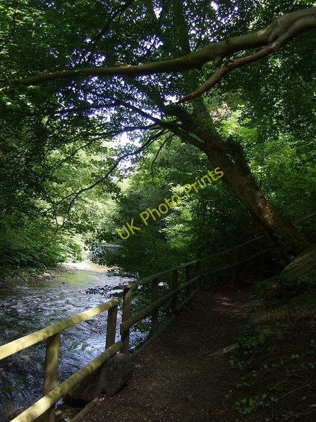 Photo 6"x4" Sirhowy Valley Country Park Path Wattsville c2009