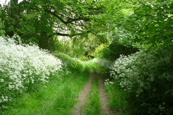 Photo 6"x4" Minster Way in Great Givendale Meltonby c2009