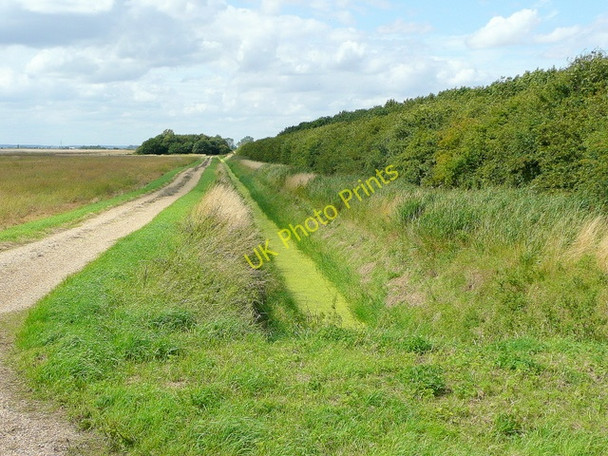 Photo 6"x4" Drain and spinney Deeping St Nicholas c2009
