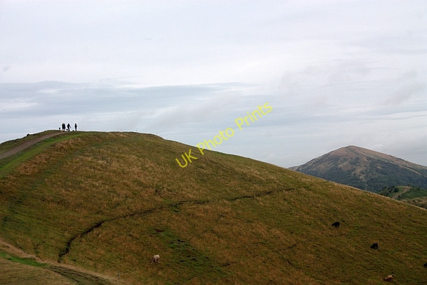 Photo 6"x4" Walkers on Pinnacle Hill Brand Green\/SO7641 c2009