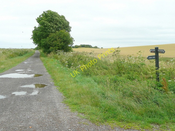 Photo 6"x4" The Ridgeway near Charlbury Hill Bishopstone\/SU2483 c2009