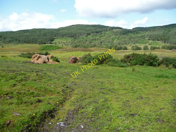 Photo 6"x4" Rough grazing at Torriegorrie Gorstan c2009