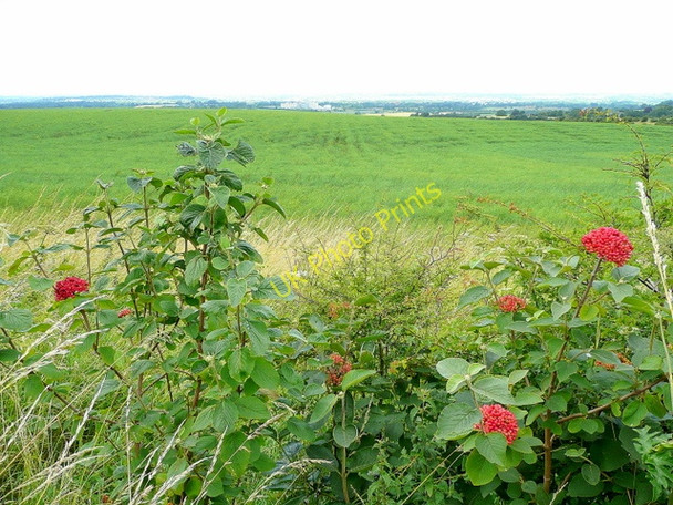 Photo 6"x4" Looking north from the Ridgeway Badbury\/SU1980 c2009