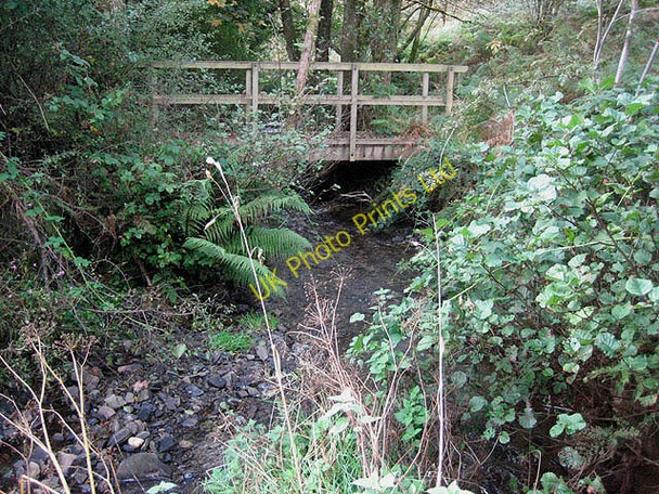 Photo 6"x4" Footbridge over Afon Bedw Blaenbedw Fawr c2007
