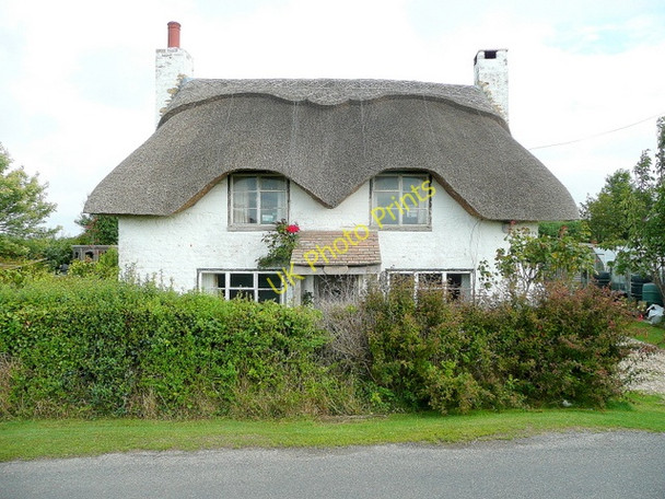 Photo 6"x4" Owl Cottage 2 Highleigh\/SZ8498 c2009