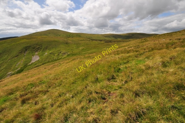 Photo 6"x4" Grazing land Harestanes Heights c2009
