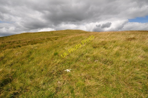 Photo 6"x4" Harestanes Heights 'summit slope' Harestanes Heights c2009