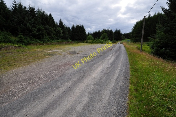 Photo 6"x4" Open area in forest Beattock c2009