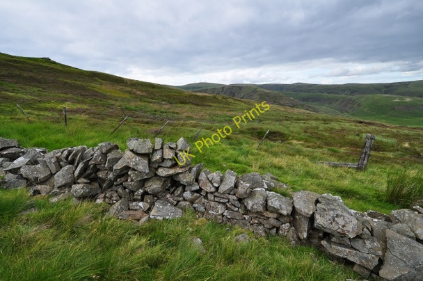 Photo 6"x4" View across Comb Head North East slope Comb Head c2009