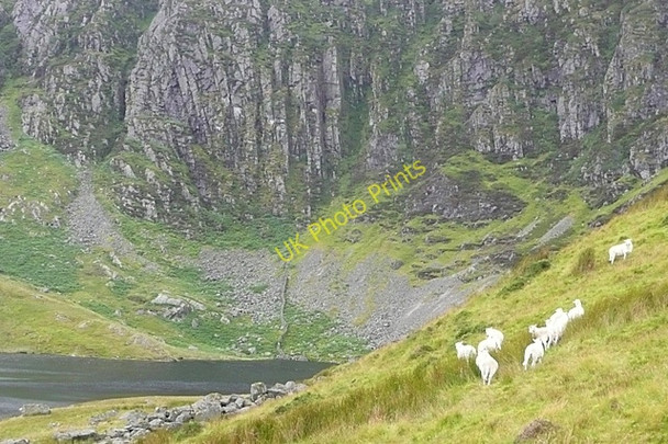 Photo 6"x4" Craig y Llyn Talardd\/SH8926 c2009