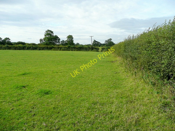 Photo 6"x4" Pasture south of Ruard Road, Goxhill North End\/TA1022 c2009